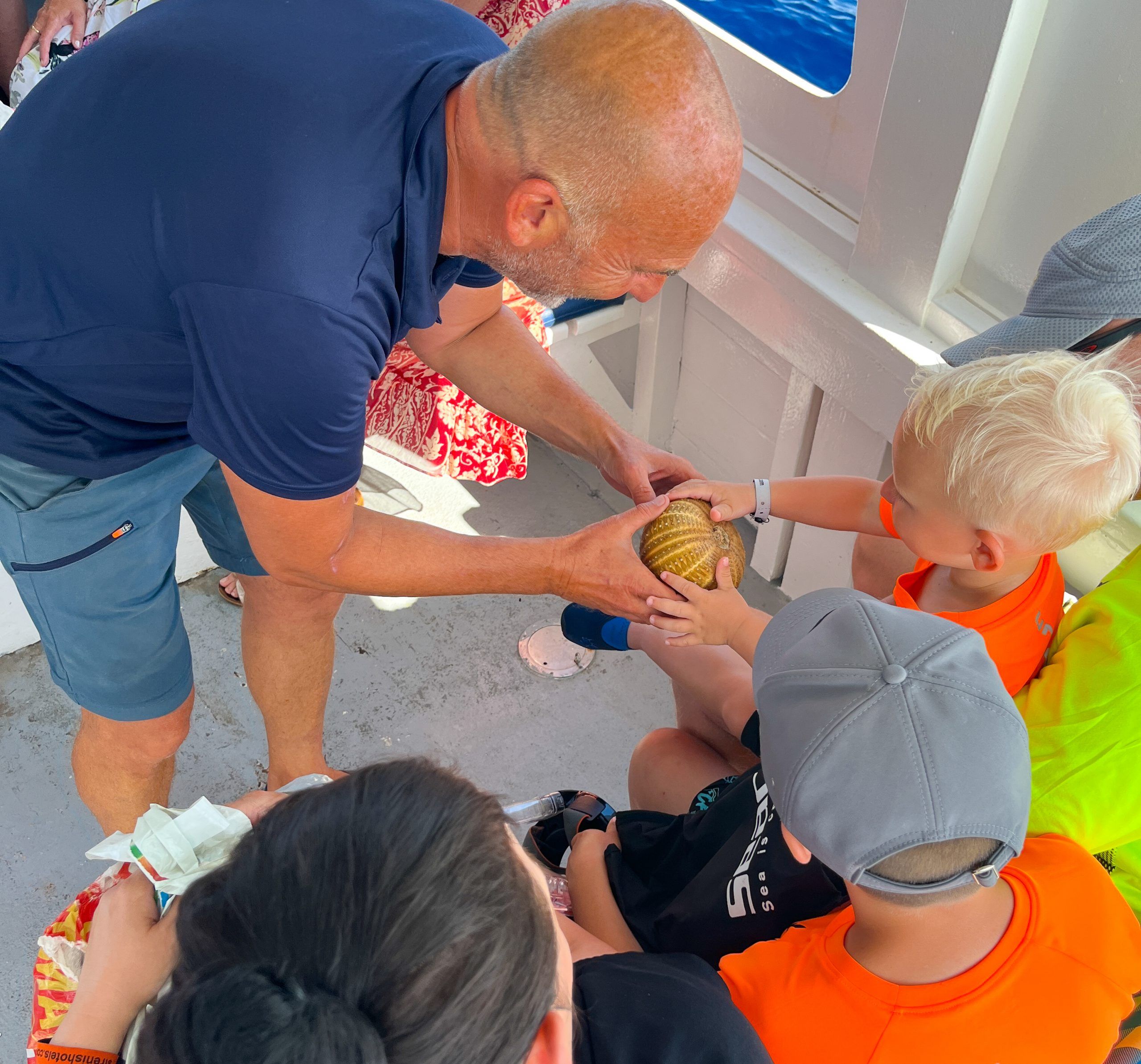 Meet the Sea - Presentación en directo