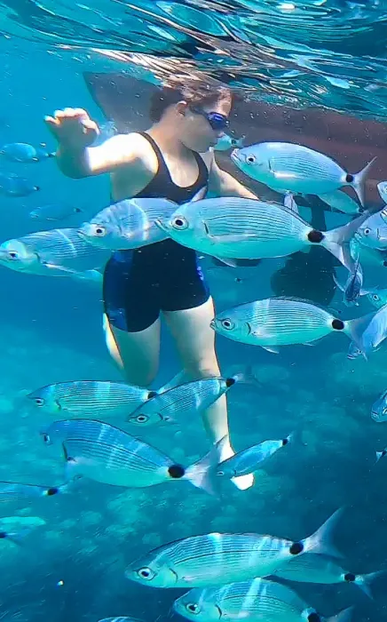 Meet the Sea - Comprender a las criaturas marinas